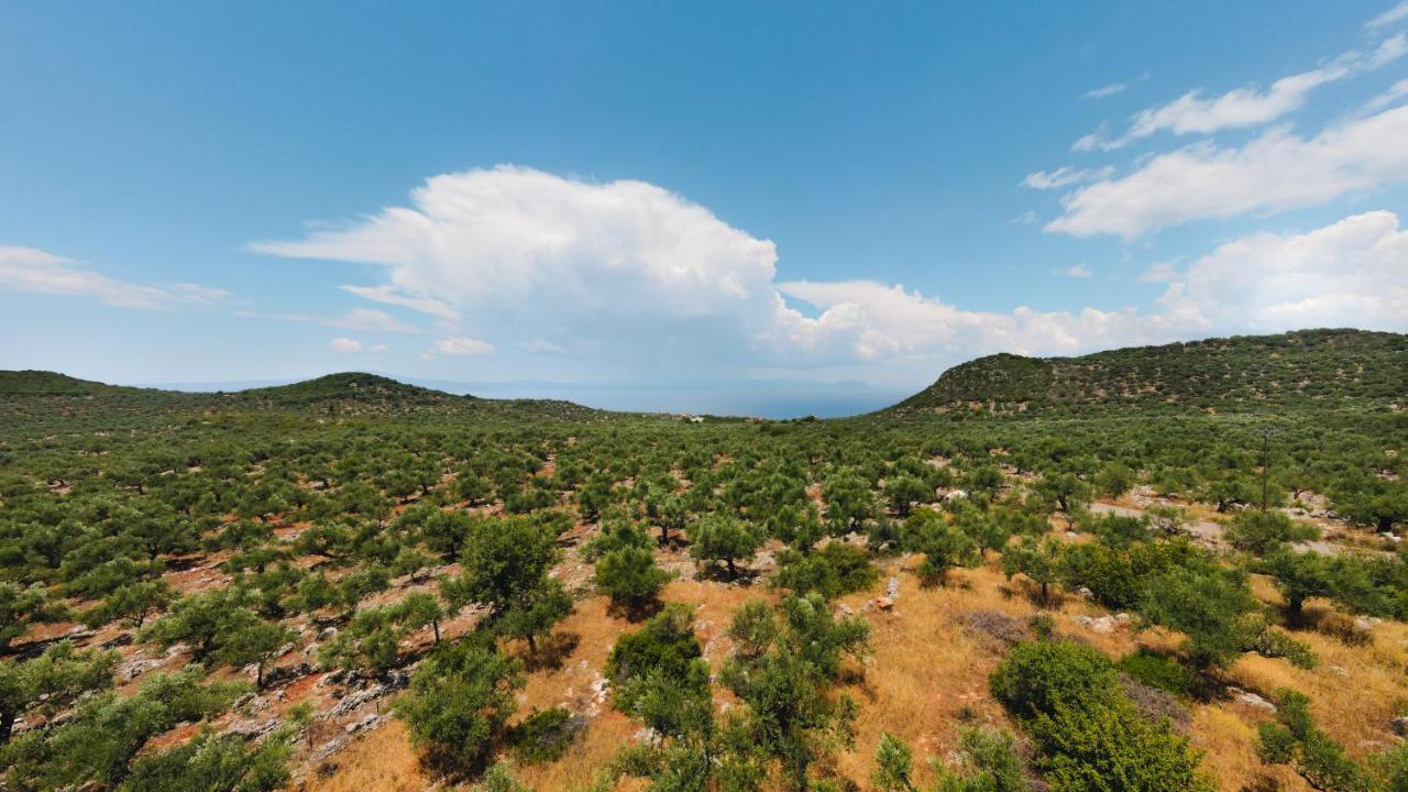 Appartement In Olive Groove House Peloponnesos Western Mani Kalianeika Exterior photo